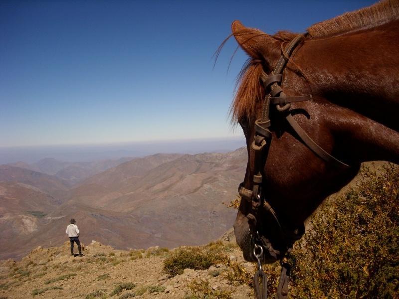 Hacienda Los Andes Villa Hurtado ภายนอก รูปภาพ