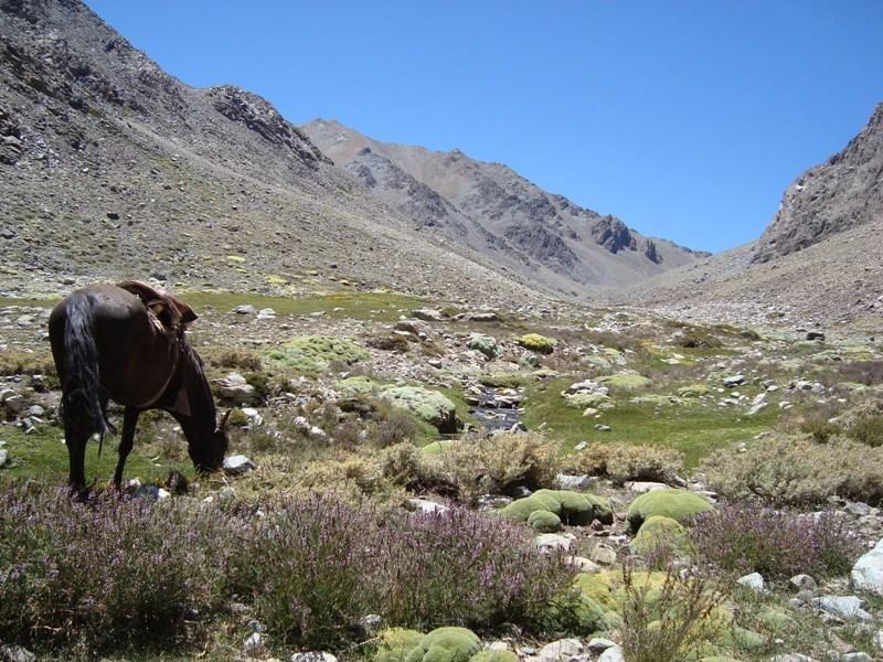 Hacienda Los Andes Villa Hurtado ภายนอก รูปภาพ