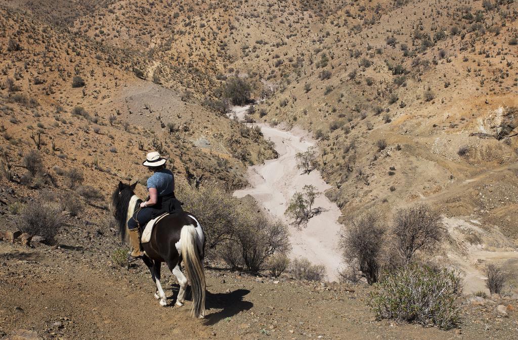 Hacienda Los Andes Villa Hurtado ภายนอก รูปภาพ