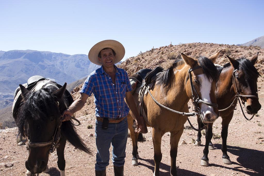 Hacienda Los Andes Villa Hurtado ภายนอก รูปภาพ